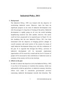 Industrial Policy, 2010[1] final