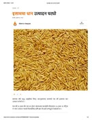 इलाममा धान उत्पादन घट्यो
