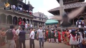 नेपालको द्वन्दको अवस्था र नीति अनुसन्धान प्रतिष्ठान बारे डा. विष्णुराज उप्